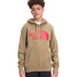 Кофта чоловіча The North Face Half Dome Po NF0A4M4BPLX