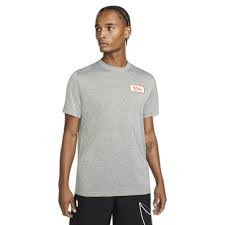 Футболка Nike Dri-Fit (сіра) DZ2735-050