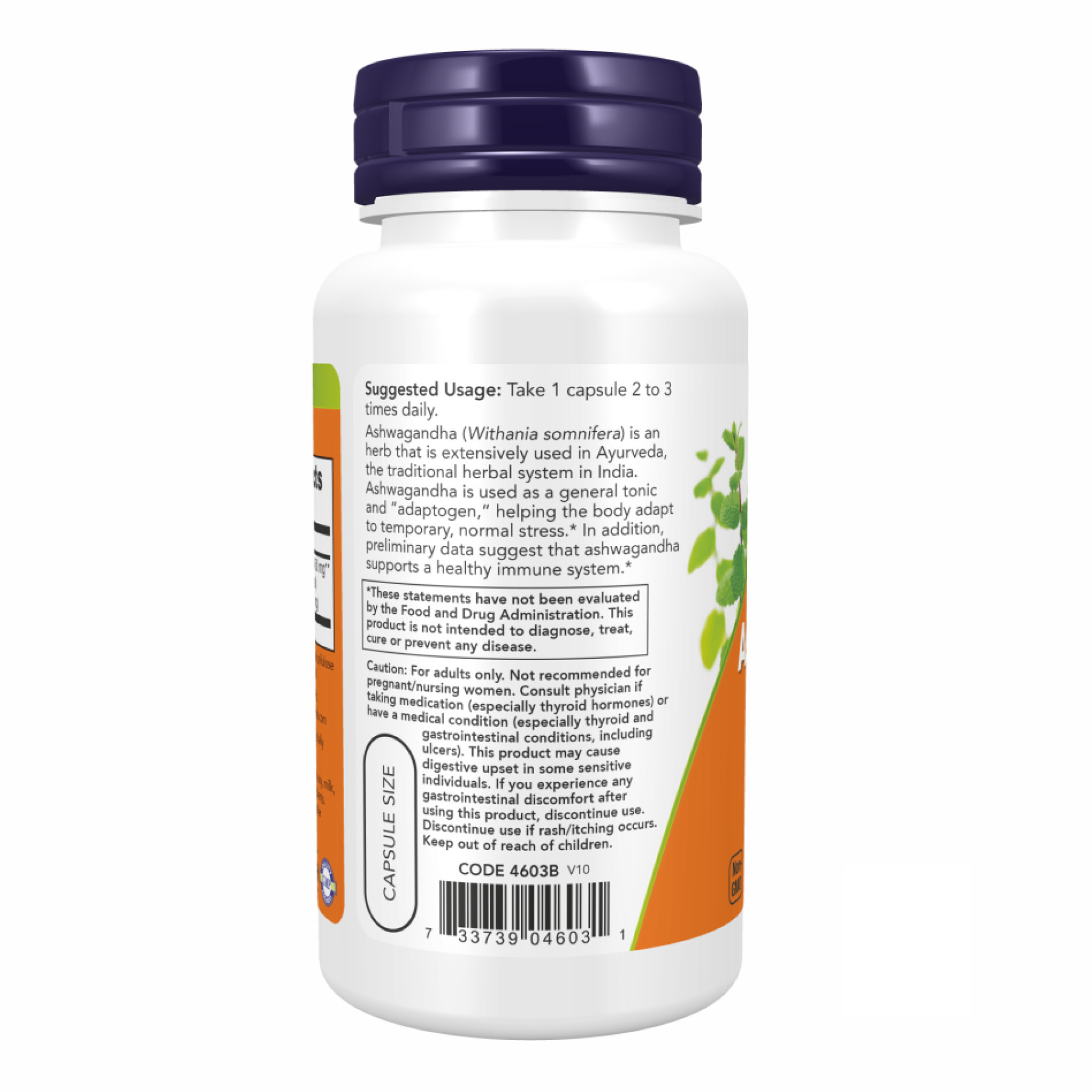 Таблетки Ashwagandha 450 mg - 90 vcaps 2022-10-0114
