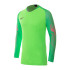 Футболка воротарська Nike GARDIEN Long Sleeve 898043-398