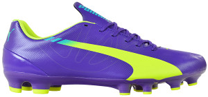 Бутси Puma EvoSPEED 5.3 FG 103111-01