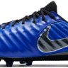 Бутси Nike Tiempo Legend 7 Elite AG Pro Always Forward AH7423-400