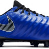 Бутси Nike Tiempo Legend 7 Elite AG Pro Always Forward AH7423-400