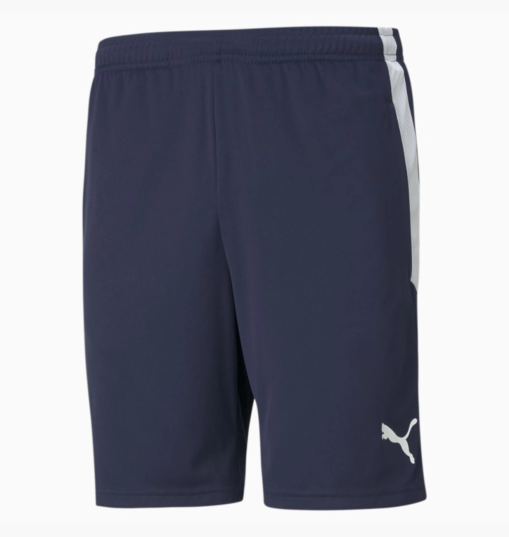 Шорти Puma Teamliga Training Shorts Blue 657249-06, Цвет Синий, Размер (Европа) - L 657249-06