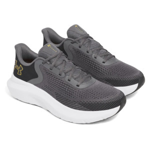 Кросівки UA Charged Rogue 5 3028256-025 Under Armour 10 (44) Сірий 3028256-025