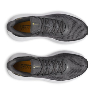 Кросівки UA Charged Rogue 5 3028256-025 Under Armour 10 (44) Сірий 3028256-025