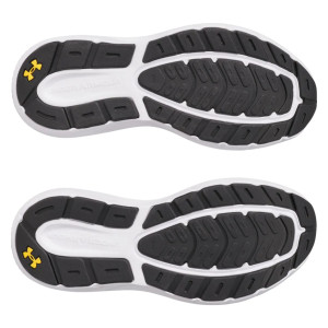 Кросівки UA Charged Rogue 5 3028256-025 Under Armour 10 (44) Сірий 3028256-025