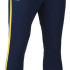 Штани Joma UKRAINE збірної України At11204B3101.