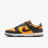 Кросівки Nike DUNK LOW RETRO HF5441-700 Кросівки Nike DUNK LOW RETRO HF5441-700