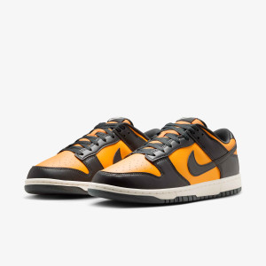 Кросівки Nike DUNK LOW RETRO HF5441-700