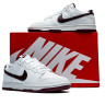 Кросівки Nike D LOW RETRO DV0831-102