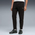 Штани EVOSTRIPE Pants 69219101 Puma L Чорний 69219101