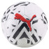 М'яч футбольний Puma Orbita 2 TB (FIFA Quality Pro) білий Уні 5 083775-03