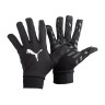 Рукавиці воротарські Puma Field Player Glove 041146-01