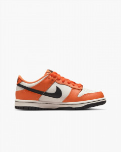 Кросівки Nike DUNK LOW (GS) DH9765-003