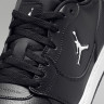 Кросівки Jordan COURT CONNECT LOW IQ5698-001