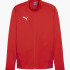 Кофта teamGOAL Training Jacket 658633-01