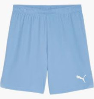 Шорти Puma teamGOAL Shorts 705752-18