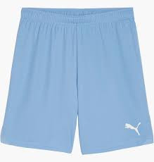 Шорти Puma teamGOAL Shorts 705752-18