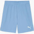Шорти Puma teamGOAL Shorts 705752-18