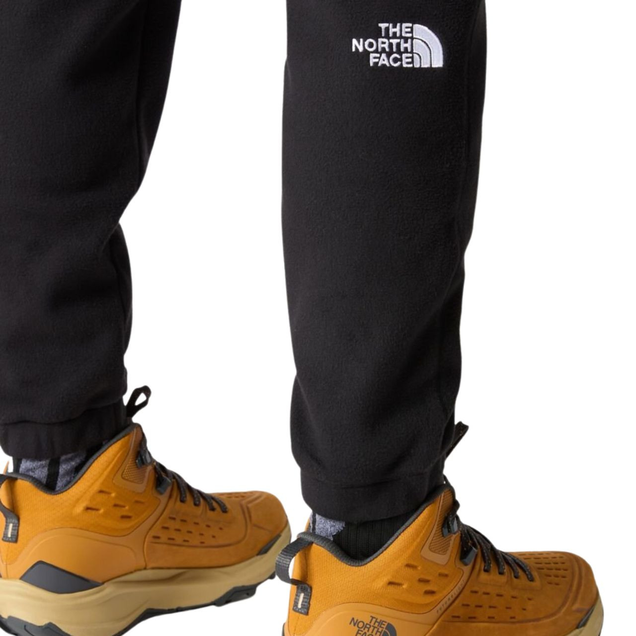Штани The North Face M 100 GLACIER PANT NF0A8561JK31