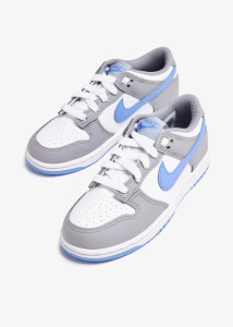 Кросівки Nike DUNK LOW (PSE) FB9108-121
