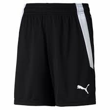 Шорти жіночі Puma Teamliga Shorts W Black 704936-03, Цвет Чёрный, Размер (Европа) - L 704936-03