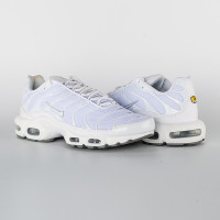 Кросівки Nike AIR MAX PLUS (Клас А) 604133-139-R