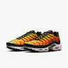 Кросівки NIKE AIR MAX PLUS HF0552-001