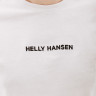 Футболка HELLY HANSEN CORE GRAPHIC T 53936-823