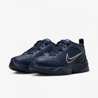 Кросівки Nike Air Monarch Iv Amp Workout Shoes Blue FB7143-403 43 FB7143-403