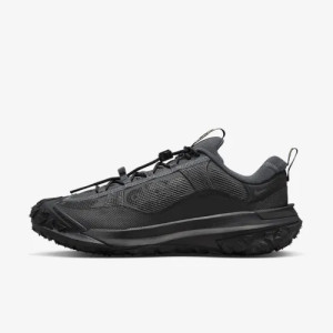 Кросівки Nike ACG MOUNTAIN FLY 2 LOW GTX HF6245-001