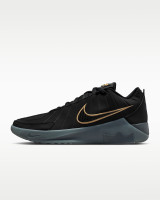 Кросівки Nike LEBRON WITNESS IX HQ8034-003