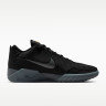 Кросівки Nike LEBRON WITNESS IX HQ8034-003