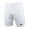 Шорти тренувальні Nike Y NK DF PARK III SHORT NB K BV6865-100