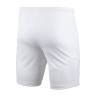 Шорти тренувальні Nike Y NK DF PARK III SHORT NB K BV6865-100