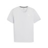 Футболка Puma Fit TriBlend Graphic Tee 524939-42