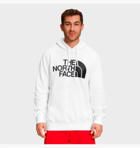 Худі The North Face Half Dome Raglan Sleeve NF0A7UNL-100