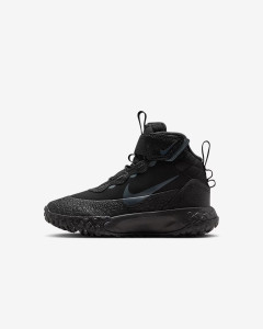 Кросівки Nike Terrascout Black FV4174-001