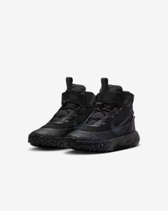 Кросівки Nike Terrascout Black FV4174-001