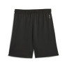 Шорти Puma Hoops Team Practice Short 676641-01