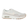 Кросівки Nike WMNS NIKE AIR MAX SC CW4554-108
