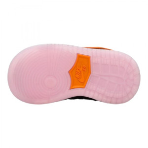 Кросівки Nike SB DU LOW PRO QS TD FZ3352-600