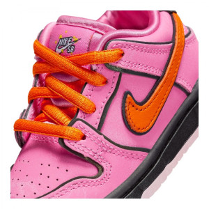 Кросівки Nike SB DU LOW PRO QS TD FZ3352-600