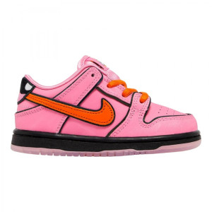 Кросівки Nike SB DU LOW PRO QS TD FZ3352-600