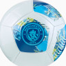 М'яч футбольний Puma MCFC ftblNRGY Ball білий, синій Уні 5 084546-75