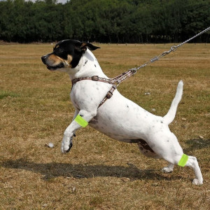 Стрічка RALTEK 10003-15 (комплект 2шт) 10003-15