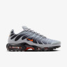 Кросівки Nike AIR MAX PLUS DM0032-011