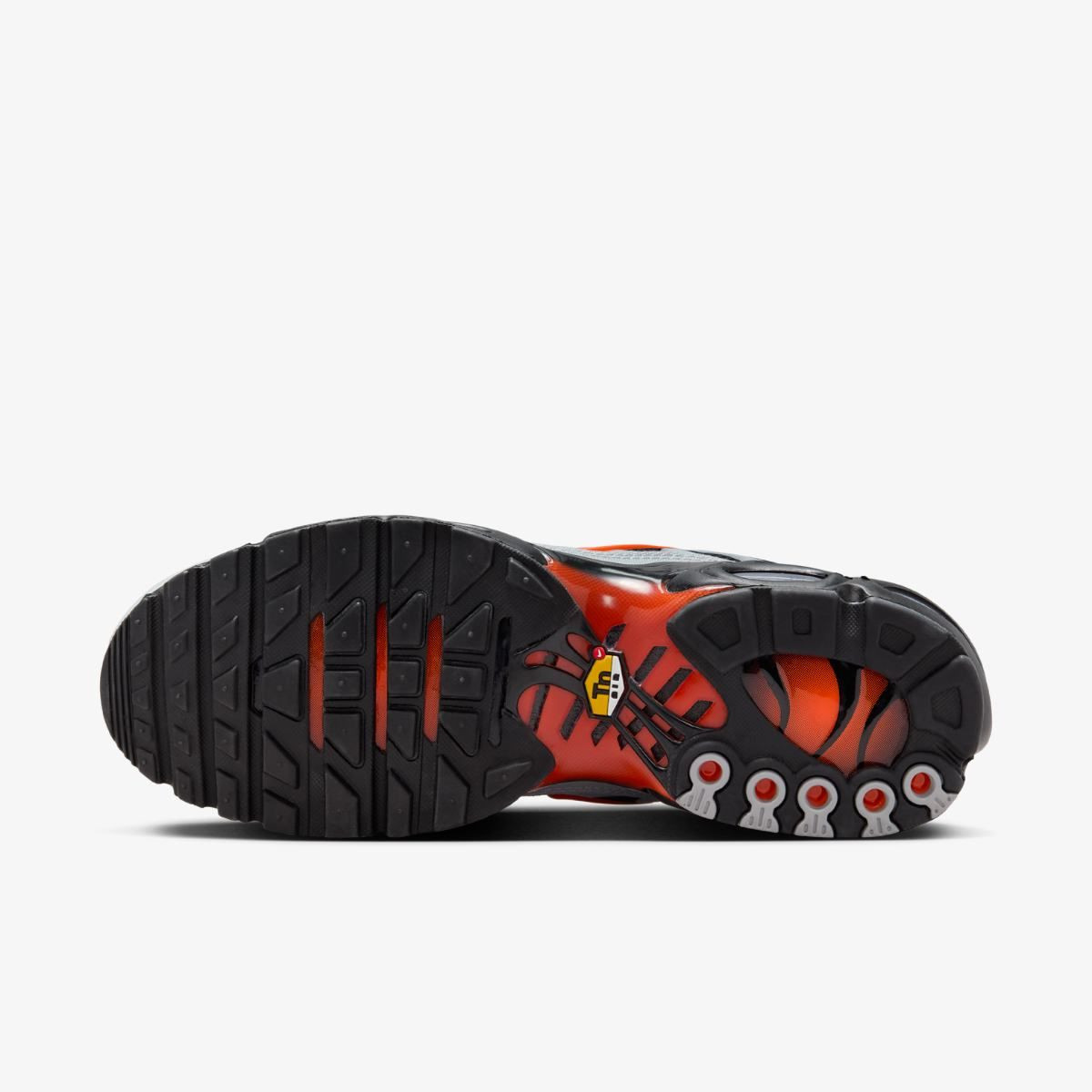 Кросівки Nike AIR MAX PLUS DM0032-011