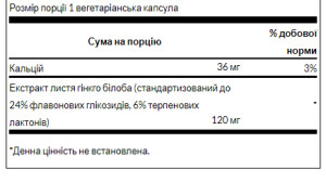 Капсули Ginkgo Biloba Extract 120 mg - 100 veg caps 100-87-5868429-20